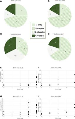 Identification of Loci Enabling Stable and High-Level Heterologous Gene Expression